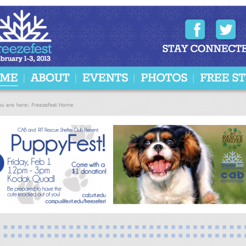 Picture of RIT FreezeFest 2013