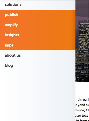 Picture of Brand Networks Inc